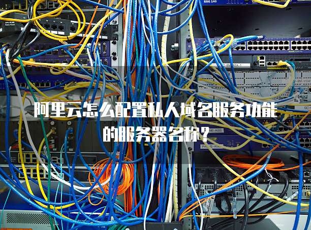 阿里云怎么配置私人域名服务功能的服务器名称?