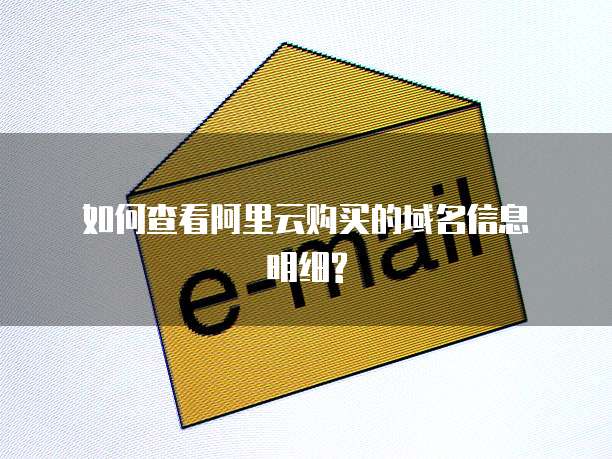 如何查看阿里云购买的域名信息明细?