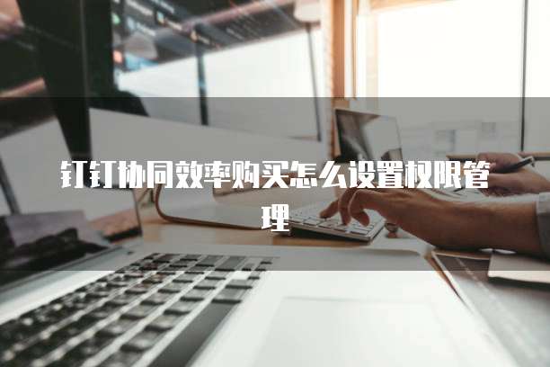 钉钉协同效率购买怎么设置权限管理