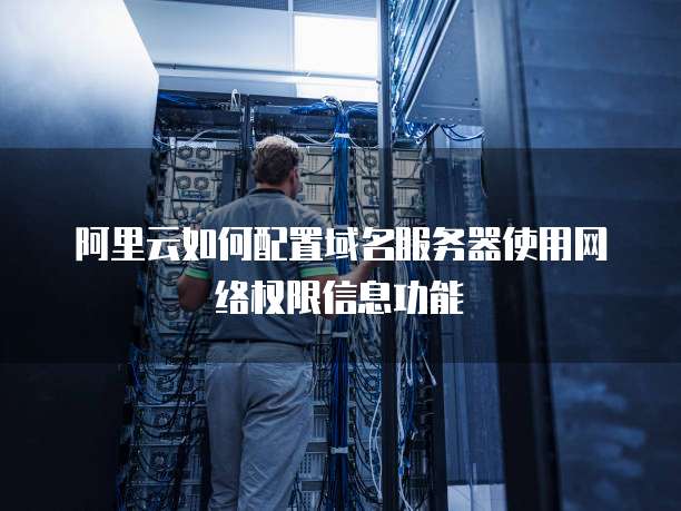 阿里云如何配置域名服务器使用网络权限信息功能