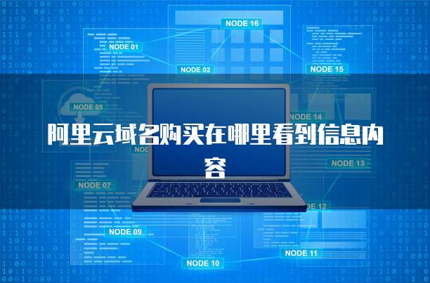 阿里云域名购买在哪里看到信息内容