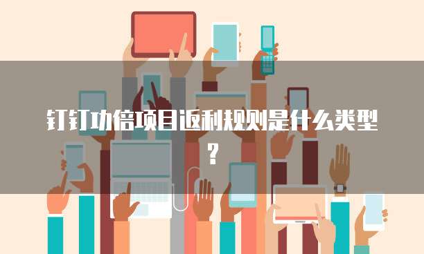 钉钉功倍项目返利规则是什么类型?