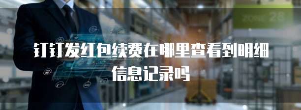 钉钉发红包续费在哪里查看到明细信息记录吗