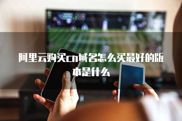 阿里云购买cn域名怎么买最好的版本是什么