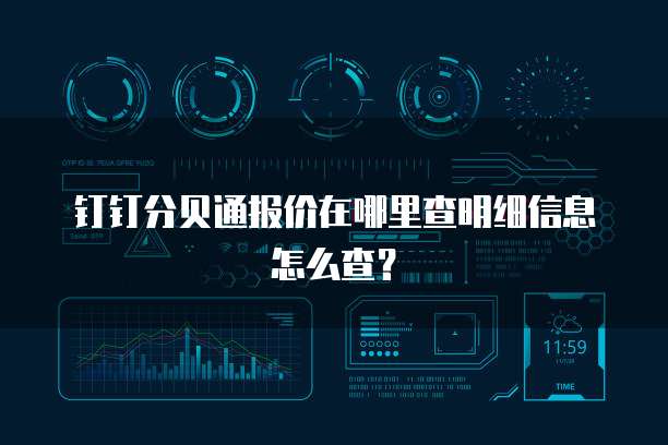 钉钉分贝通报价在哪里查明细信息怎么查?