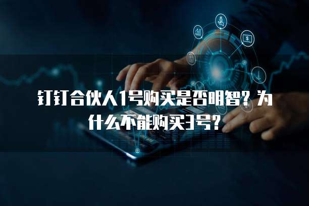 钉钉合伙人1号购买是否明智?为什么不能购买3号?