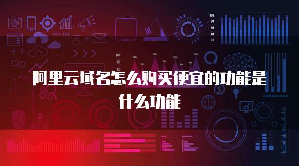 阿里云域名怎么购买便宜的功能是什么功能