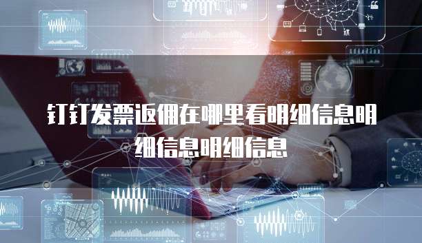 钉钉发票返佣在哪里看明细信息明细信息明细信息