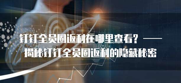 钉钉全员圈返利在哪里查看? &mdash;&mdash;揭秘钉钉全员圈返利的隐藏秘密