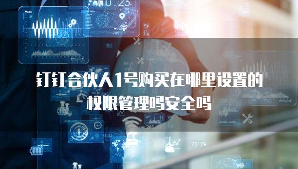 钉钉合伙人1号购买在哪里设置的权限管理吗安全吗