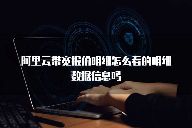 阿里云带宽报价明细怎么看的明细数据信息吗