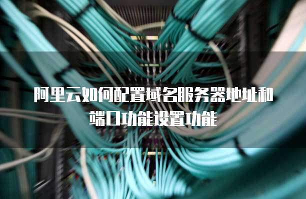 阿里云如何配置域名服务器地址和端口功能设置功能