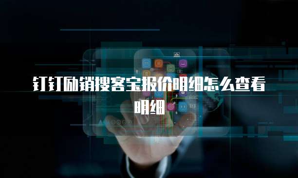 钉钉励销搜客宝报价明细怎么查看明细