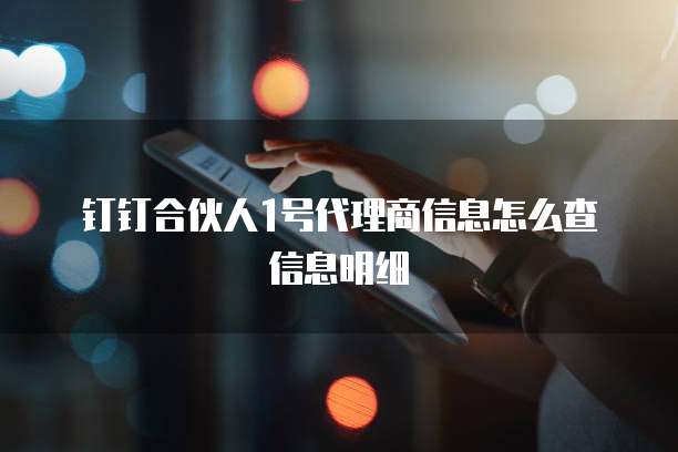 钉钉合伙人1号代理商信息怎么查信息明细