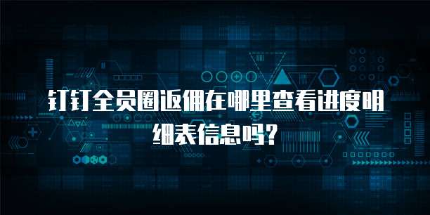 钉钉全员圈返佣在哪里查看进度明细表信息吗?