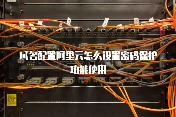 域名配置阿里云怎么设置密码保护功能使用