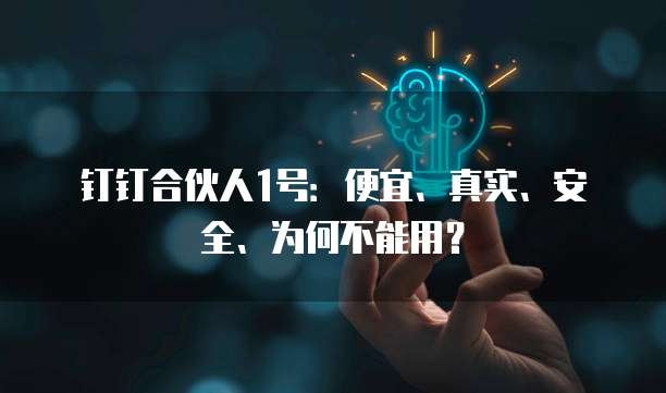 钉钉合伙人1号：便宜、真实、安全、为何不能用？