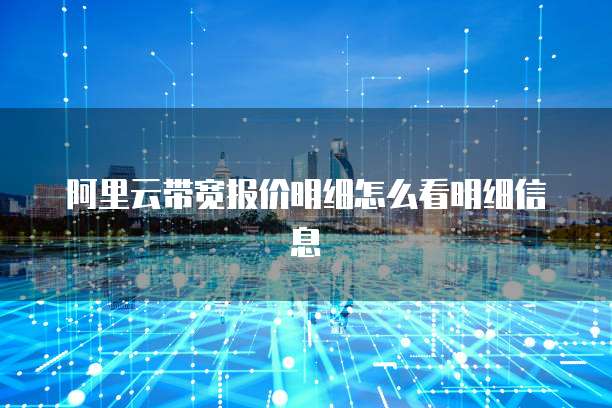 阿里云带宽报价明细怎么看明细信息