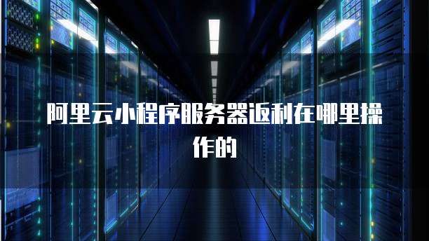 阿里云小程序服务器返利在哪里操作的