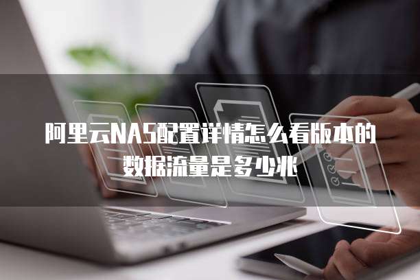 阿里云NAS配置详情怎么看版本的数据流量是多少兆