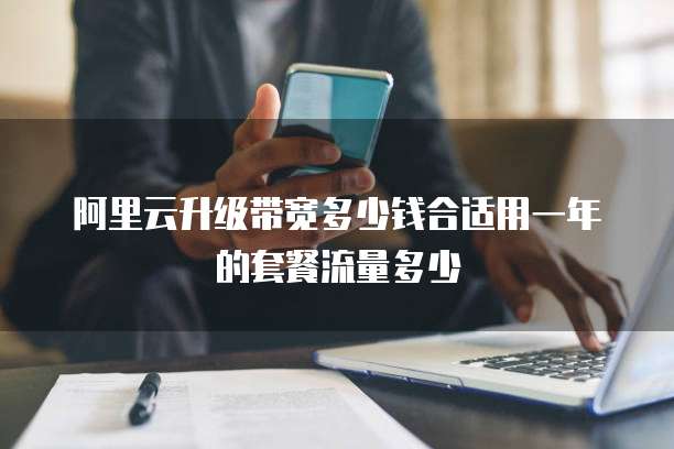 阿里云升级带宽多少钱合适用一年的套餐流量多少