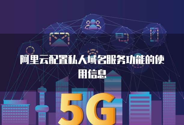 阿里云配置私人域名服务功能的使用信息