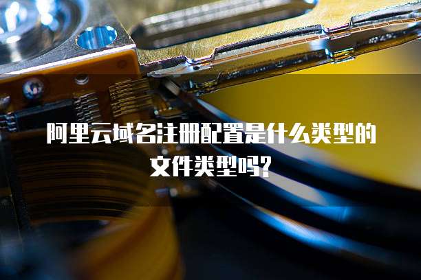 阿里云域名注册配置是什么类型的文件类型吗?