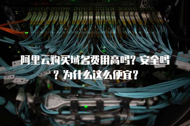阿里云购买域名费用高吗?安全吗?为什么这么便宜?
