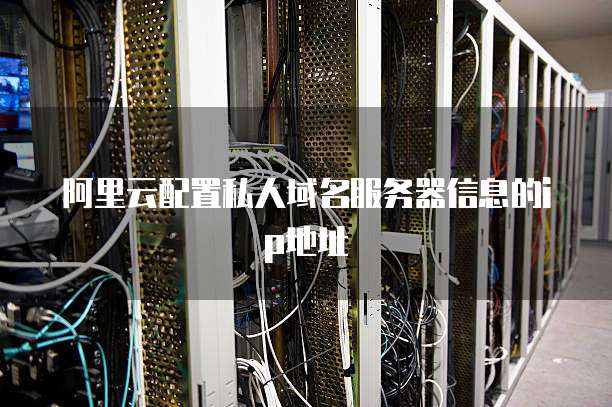 阿里云配置私人域名服务器信息的ip地址