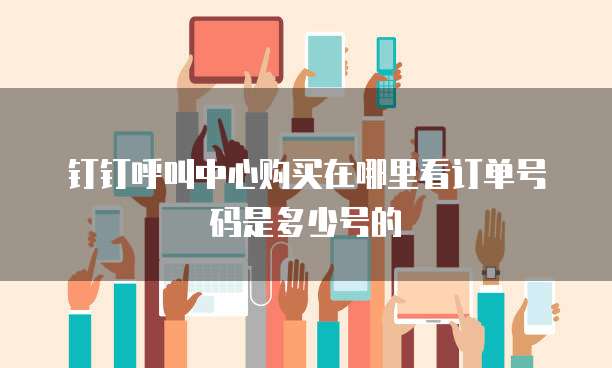 钉钉呼叫中心购买在哪里看订单号码是多少号的
