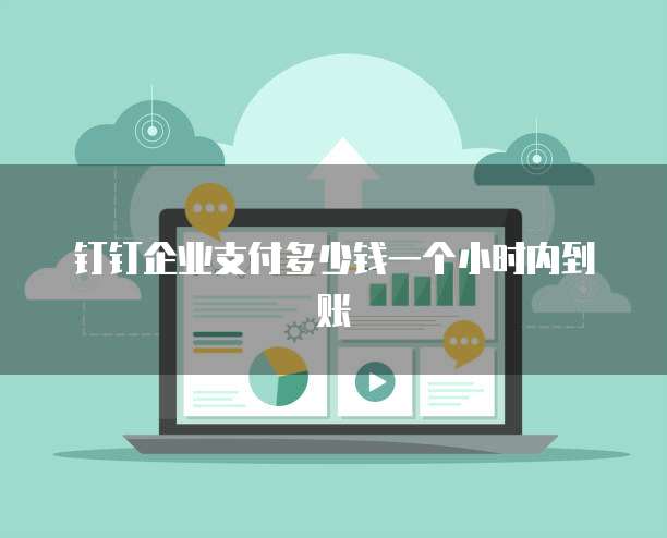 钉钉企业支付多少钱一个小时内到账