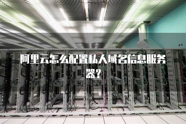 阿里云怎么配置私人域名信息服务器?