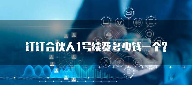 钉钉合伙人1号续费多少钱一个?