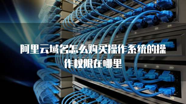 阿里云域名怎么购买操作系统的操作权限在哪里