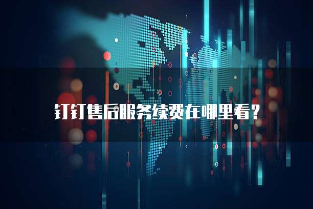 钉钉售后服务续费在哪里看?