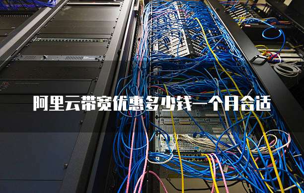阿里云带宽优惠多少钱一个月合适