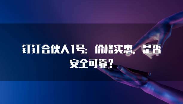 钉钉合伙人1号:价格实惠,是否安全可靠?