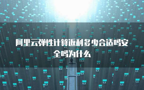 阿里云弹性计算返利多少合适吗安全吗为什么