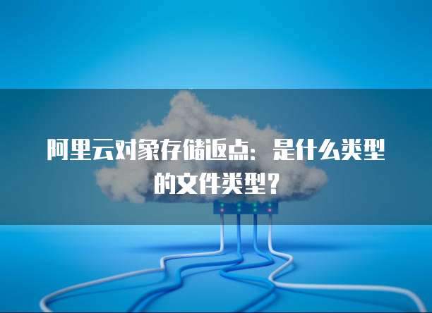 阿里云对象存储返点:是什么类型的文件类型?
