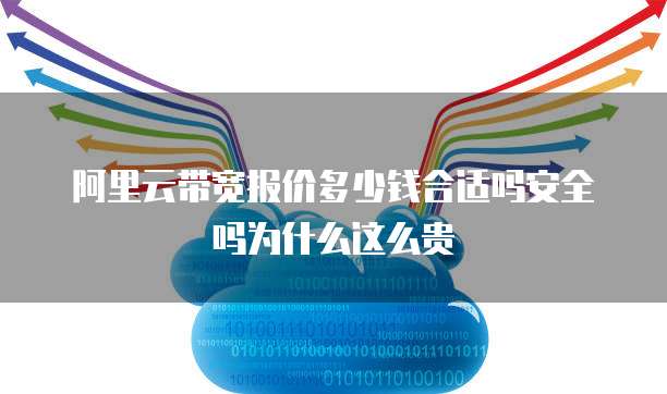 阿里云带宽报价多少钱合适吗安全吗为什么这么贵