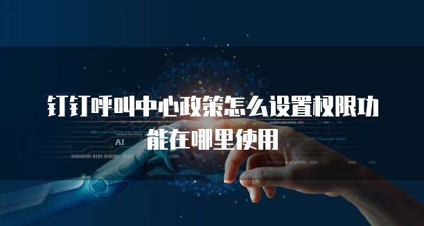 钉钉呼叫中心政策怎么设置权限功能在哪里使用