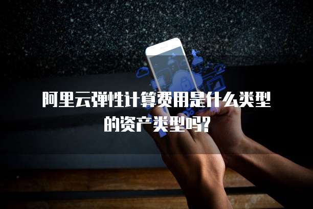 阿里云弹性计算费用是什么类型的资产类型吗?