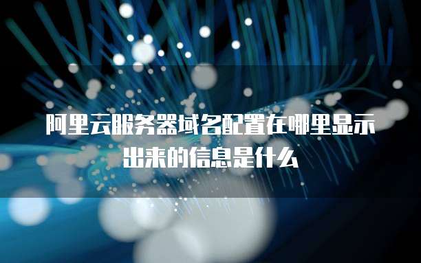 阿里云服务器域名配置在哪里显示出来的信息是什么