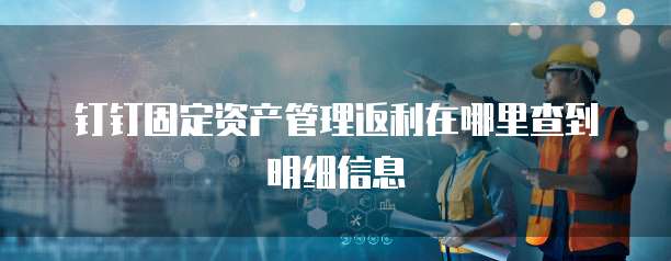 钉钉固定资产管理返利在哪里查到明细信息