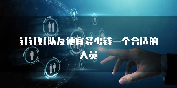 钉钉好队友便宜多少钱一个合适的人员