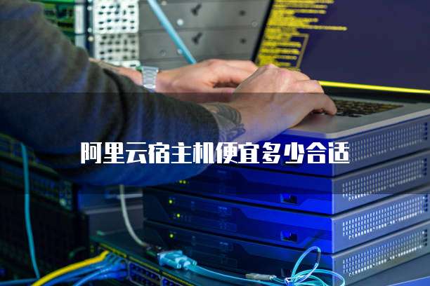阿里云宿主机便宜多少合适
