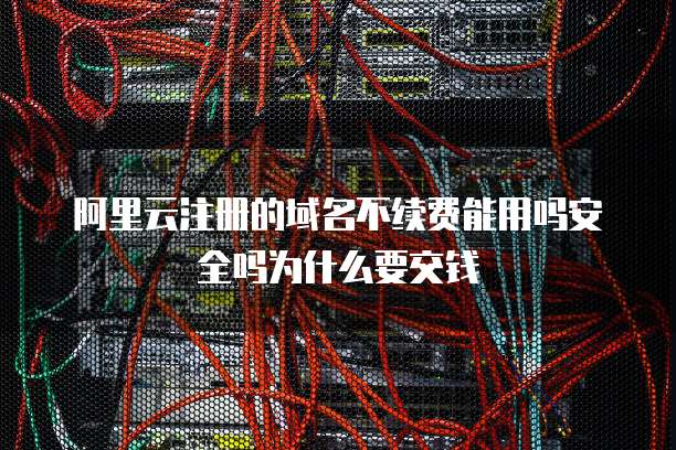 阿里云注册的域名不续费能用吗安全吗为什么要交钱