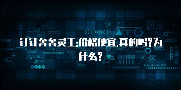 钉钉奔奔灵工:价格便宜,真的吗?为什么?