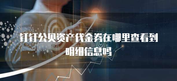 钉钉公贝资产代金券在哪里查看到明细信息吗