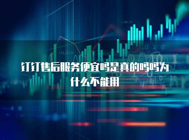 钉钉售后服务便宜吗是真的吗吗为什么不能用